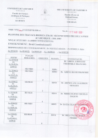 Planning des TD L1 DF.pdf